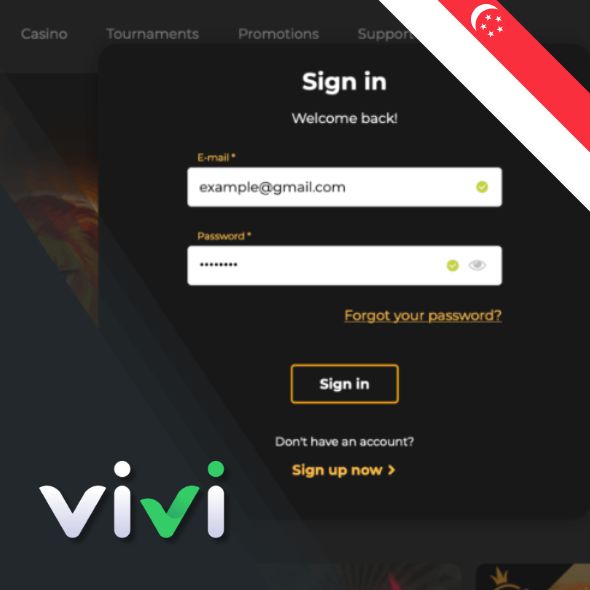 How to Login into the Vivi Casino?